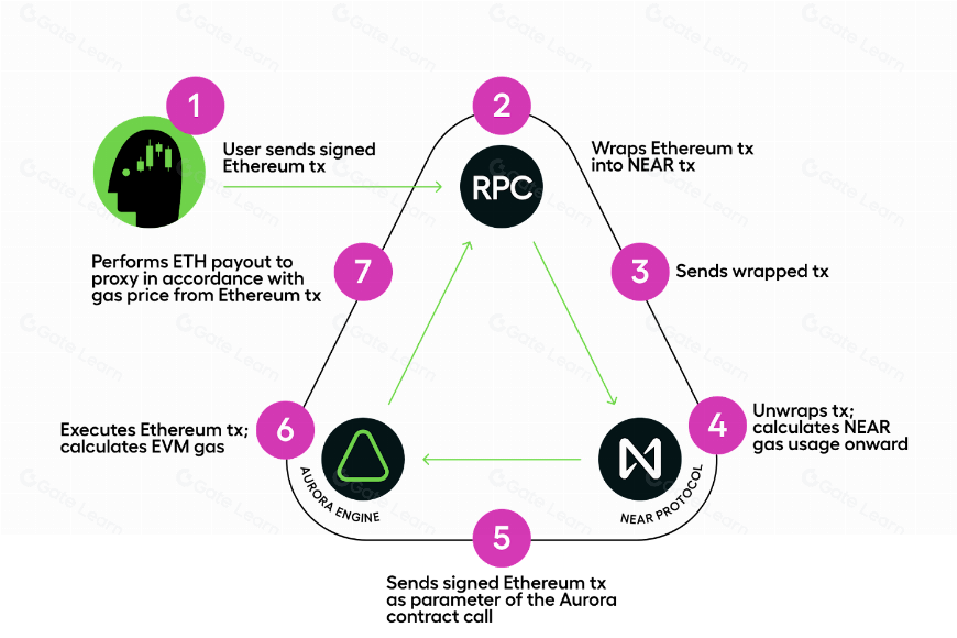 Aurora EVM Analysis